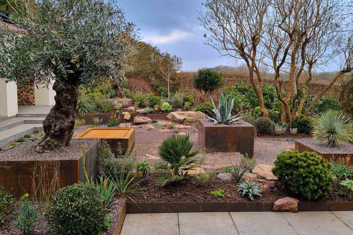 adam vetere gallery new 15 opt